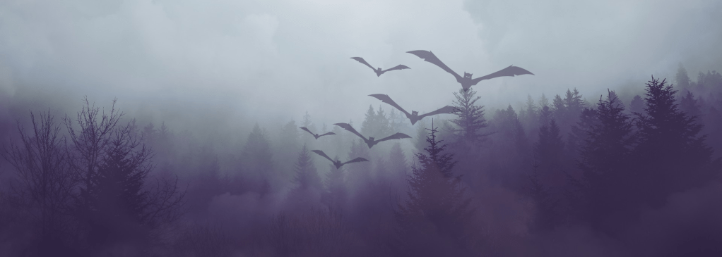 welcome to my new&nbsp;portfolio!